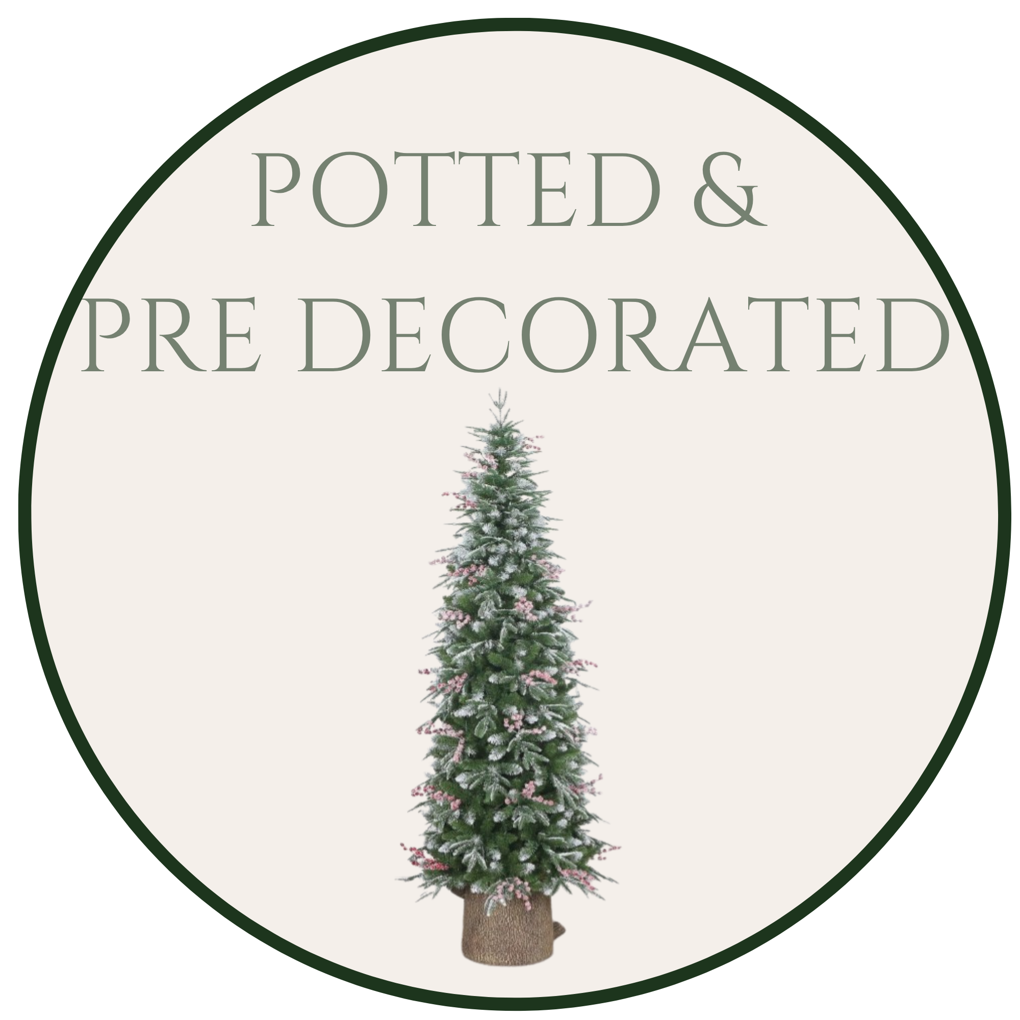 Pre-Decorated & Potted Tree's