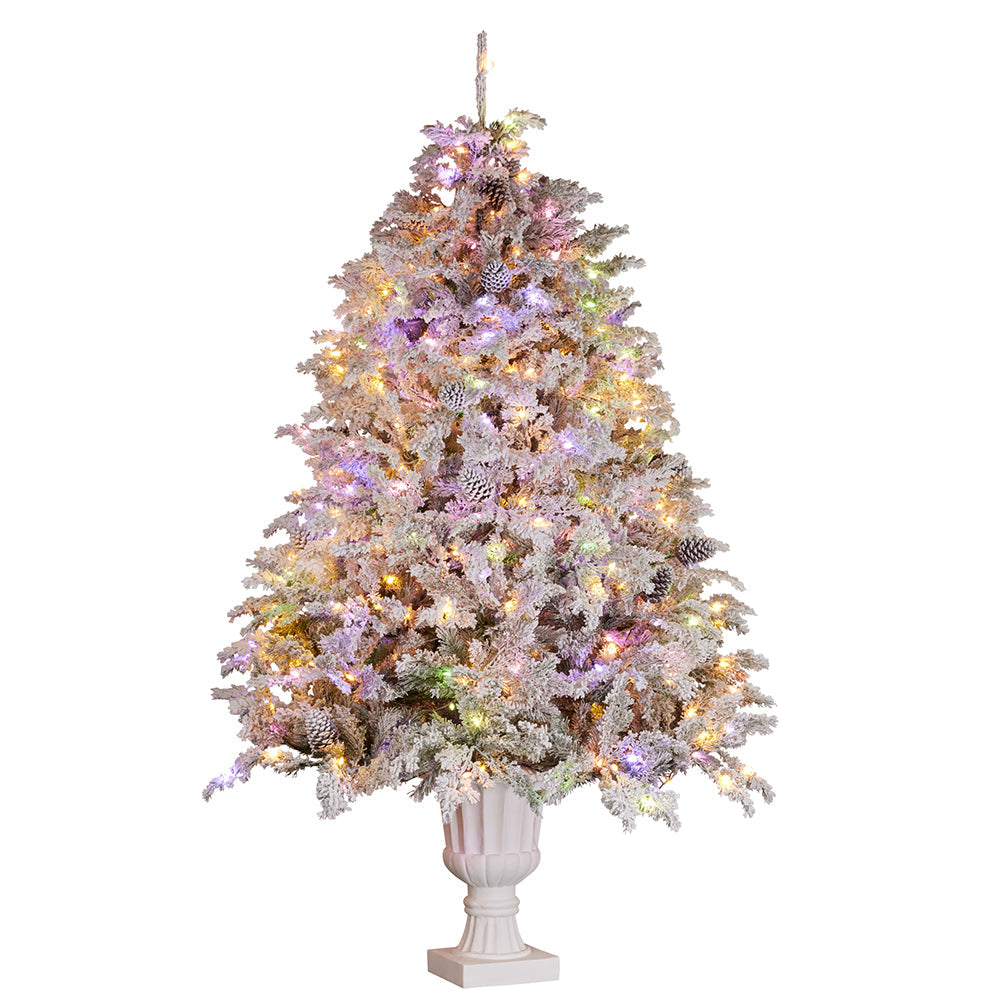 Luxury Tree's