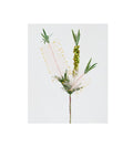 Bottle Brush Pink