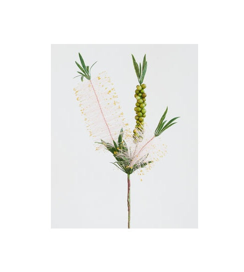 Bottle Brush Pink