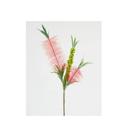 Bottle Brush Red