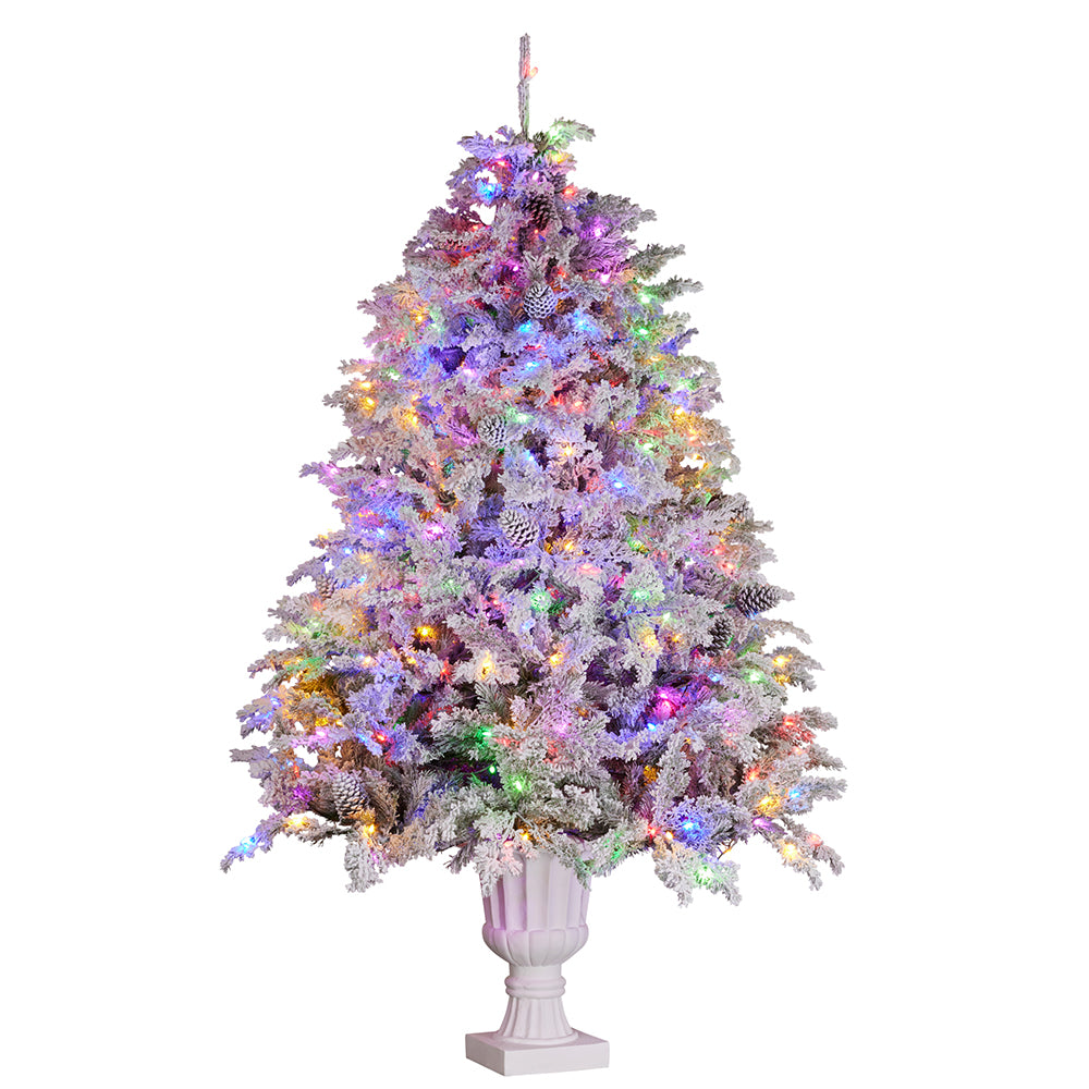 Potted Alpine Fir 7.5ft Tree with LED Lighting