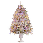 Potted Alpine Fir Pre-Lit 230cm Tree