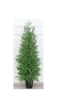 Evergreen Potted Cypress 90cm Tree