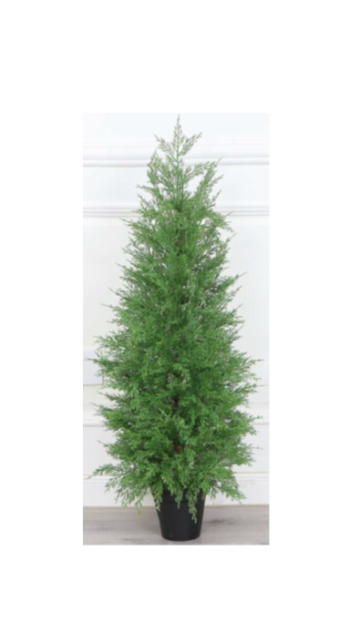 Evergreen Potted Cypress 90cm Tree