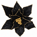 Black & Gold Poinsettia