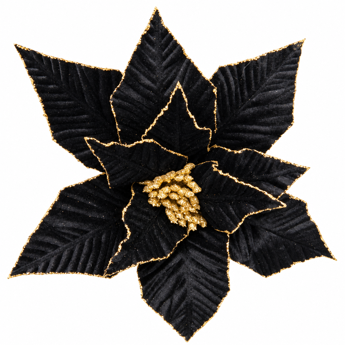 Black & Gold Poinsettia
