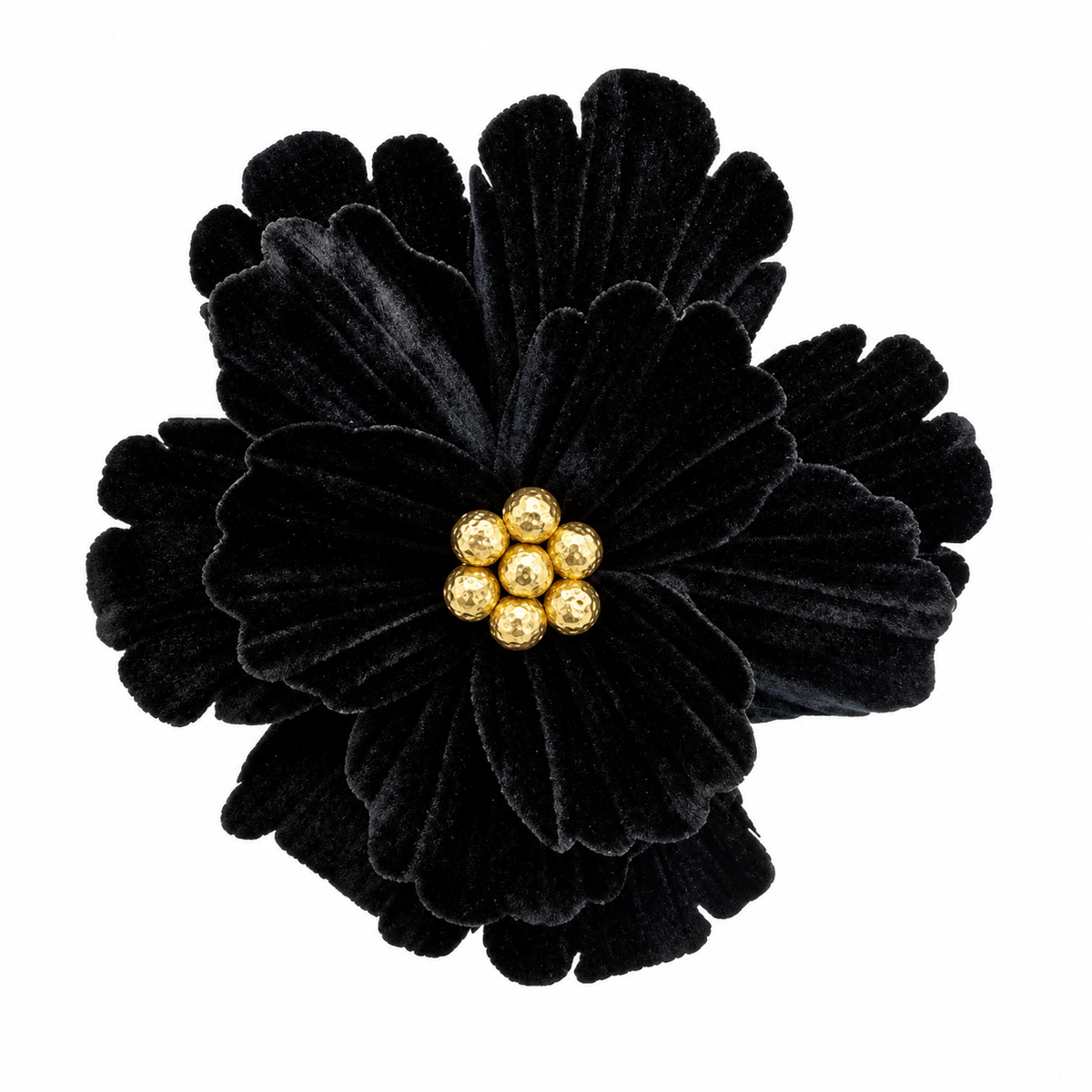 Black Poinsettia