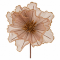 Brown Sheer Flower