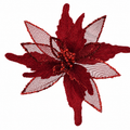 Red Poinsettia