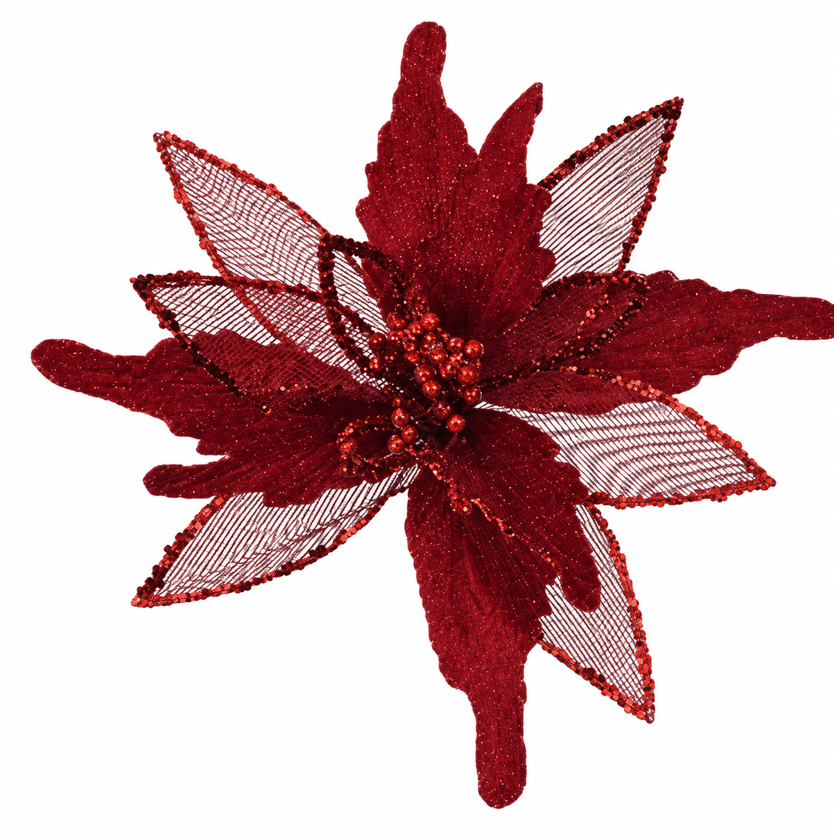 Red Poinsettia