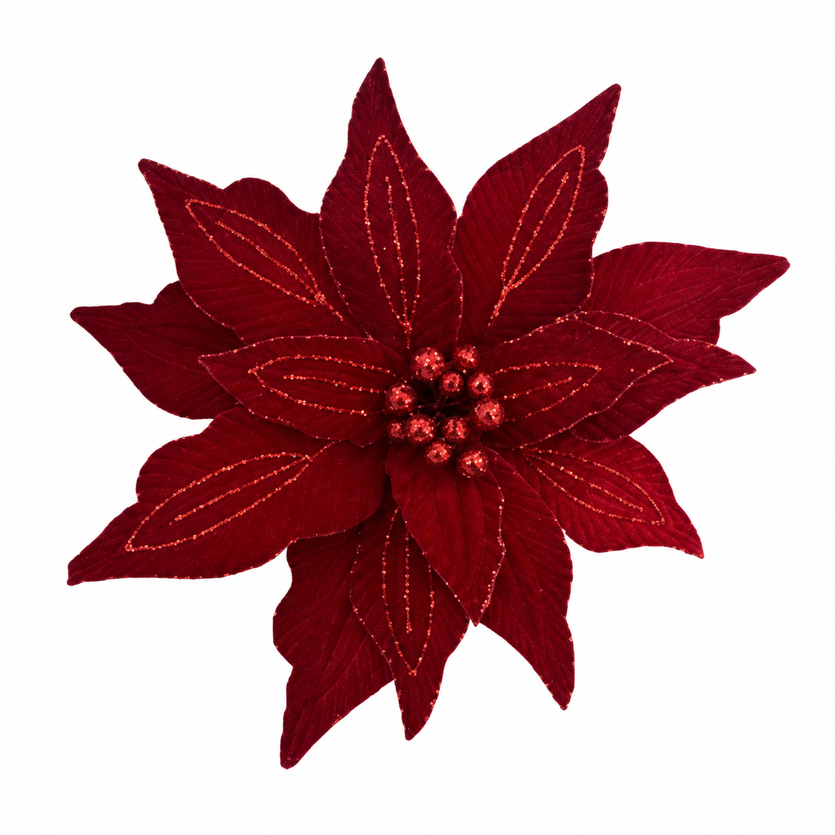 Deep Red Poinsettia