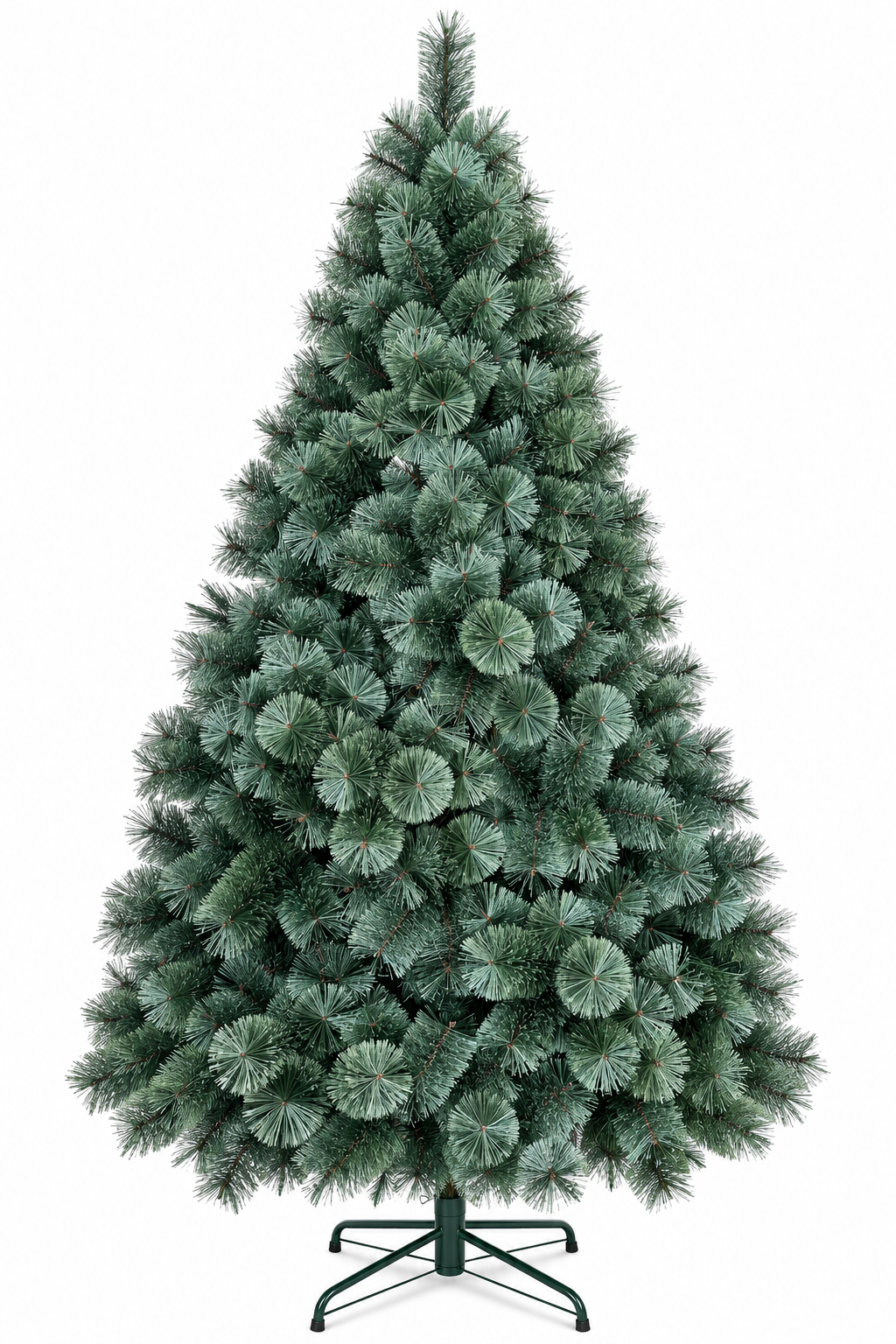 Australian Evergreen Blossom Pine 2.4m Tree