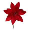 Red Velvet Poinsettia Flower