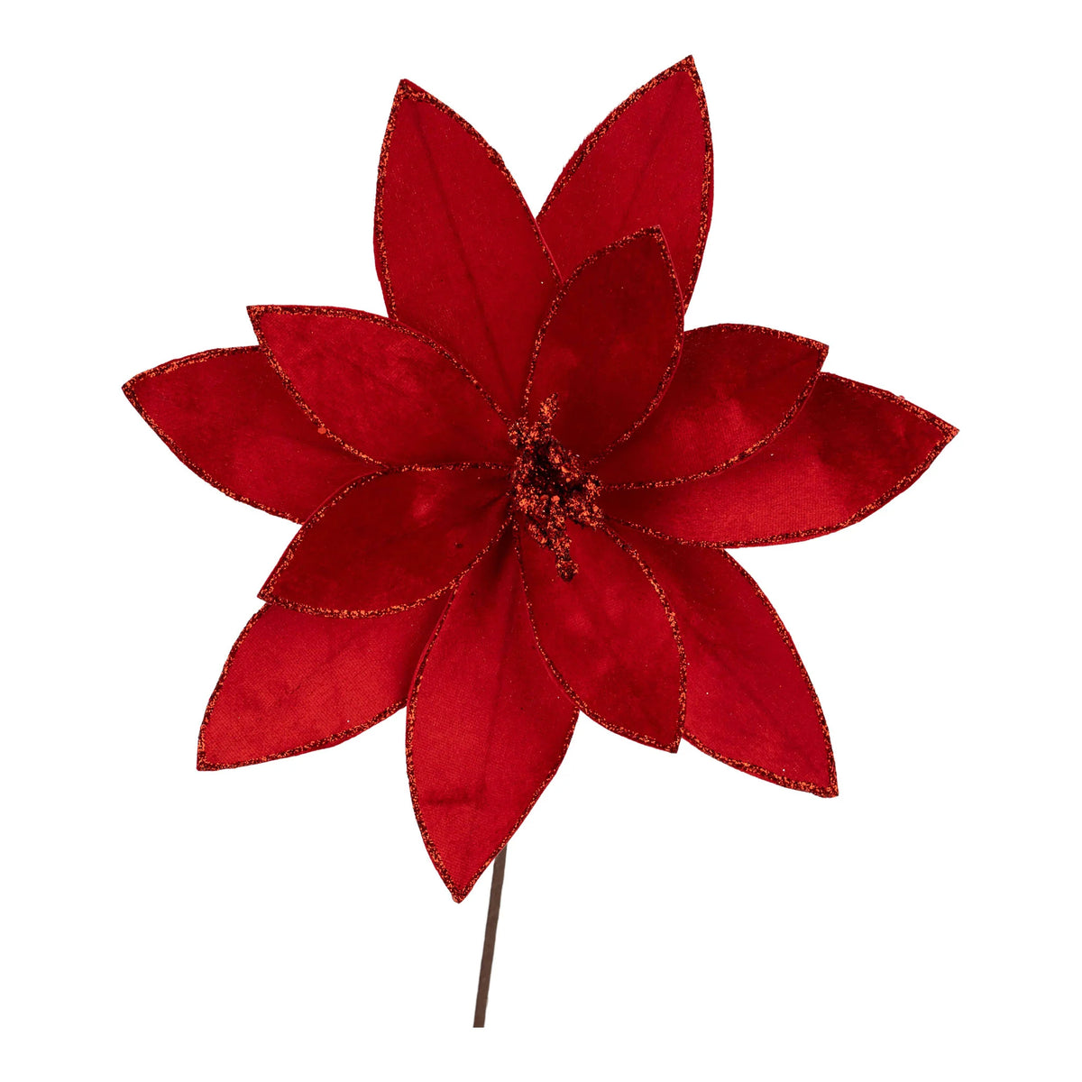 Red Velvet Poinsettia Flower