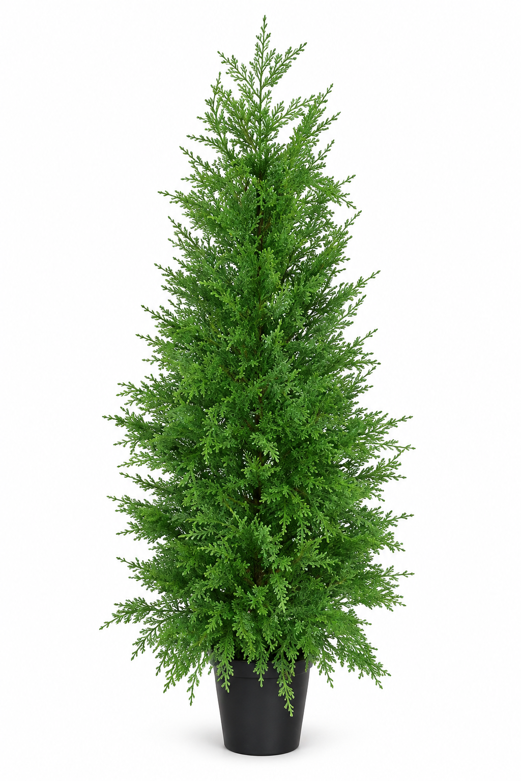 Evergreen Potted Cypress 90cm Tree