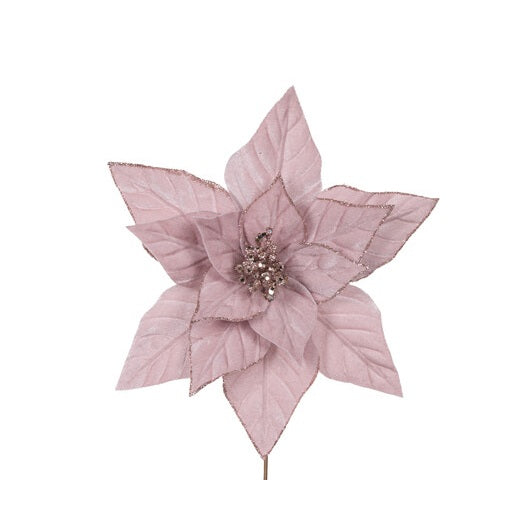 Pink Velour Poinsettia