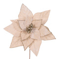 Champagne Velour Poinsettia 30cm