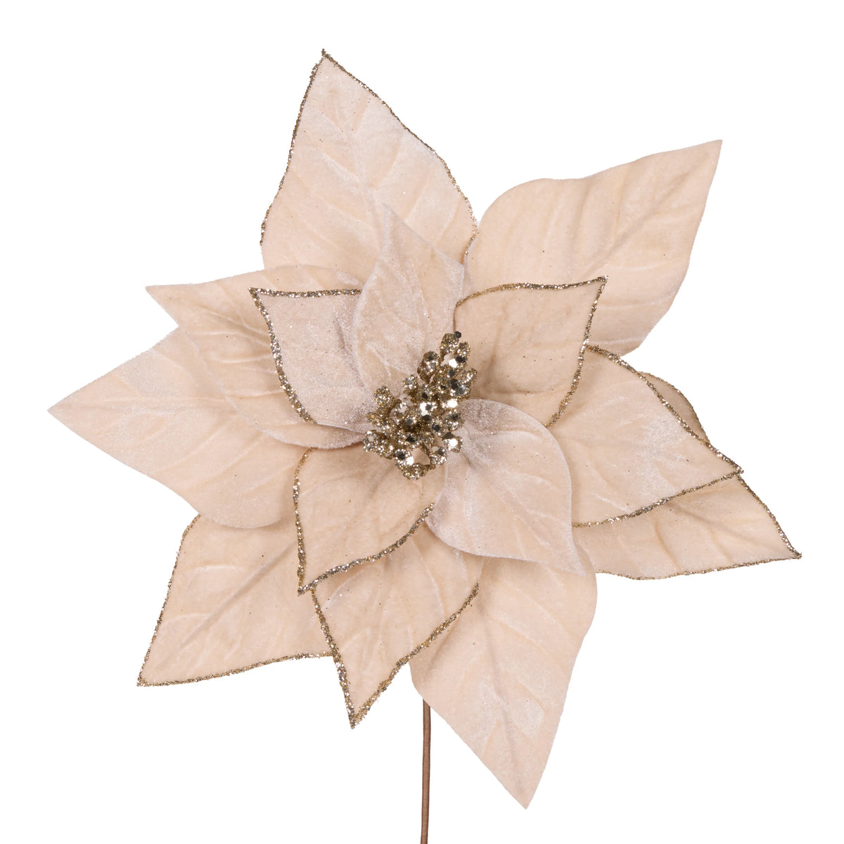 Champagne Velour Poinsettia 30cm