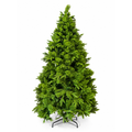 Native Cypress Pine 2.4m Tree