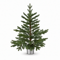 Green Potted Tree 90cm