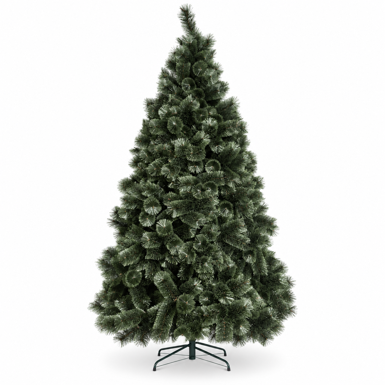 Australian Blue Blossom Pine 2.4m Tree