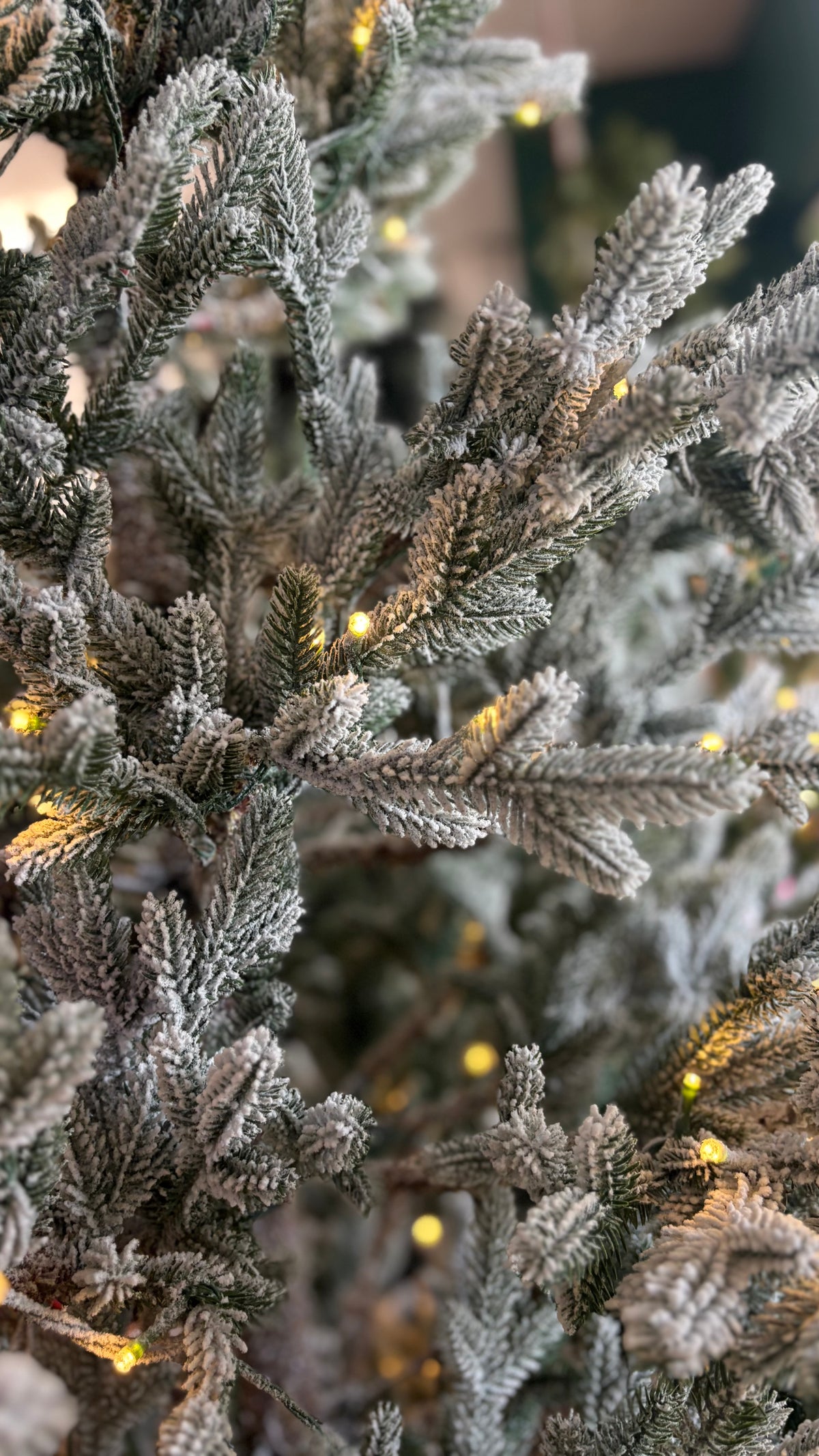 Aspen Frosted Fir Pre-Lit 180cm