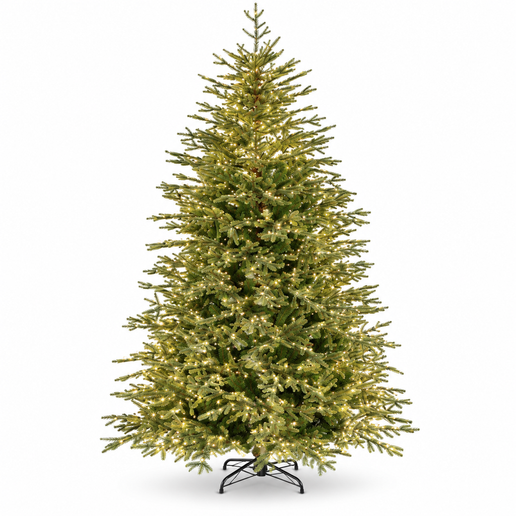Evergreen Norway Spruce Pre-Lit 240cm