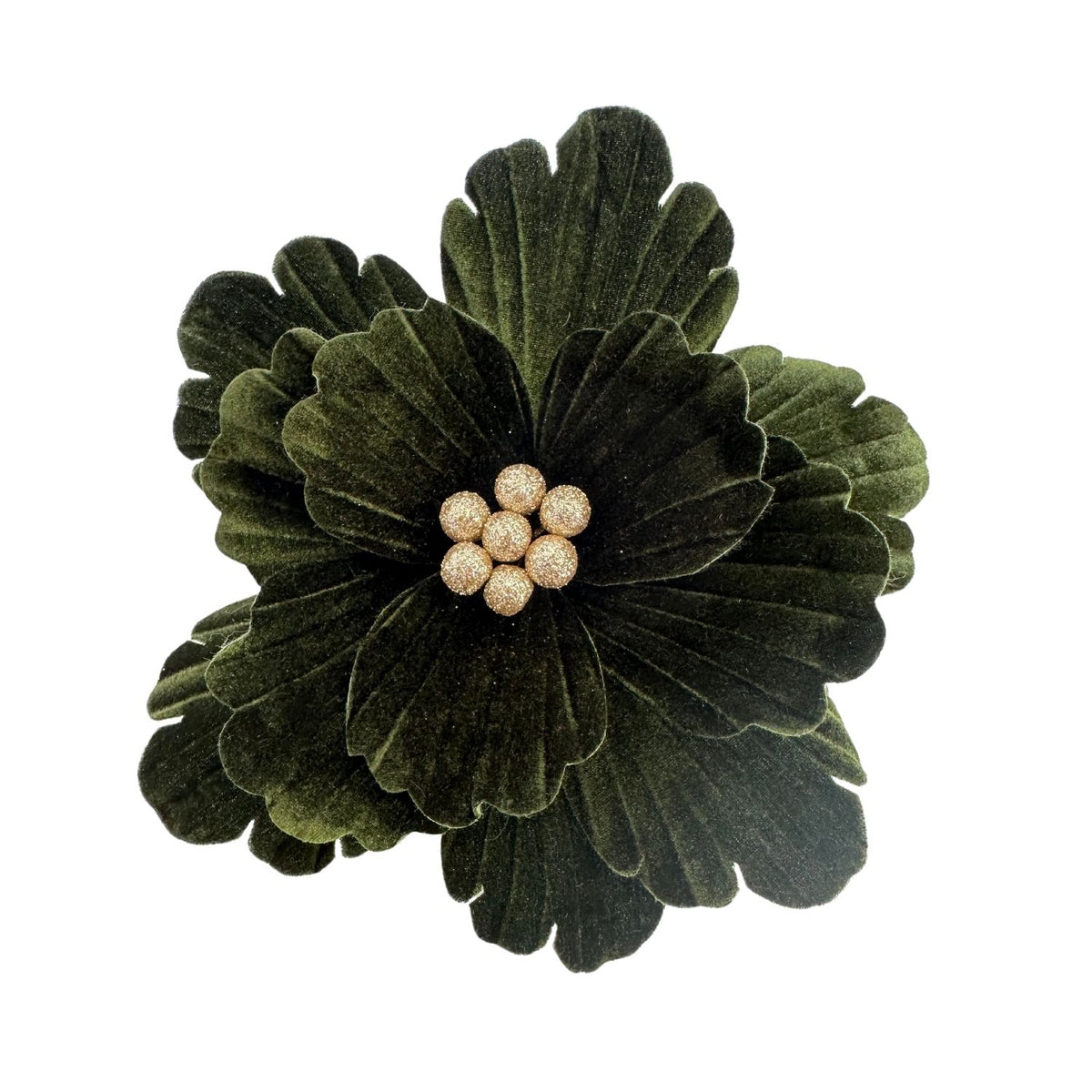 Olive Poinsettia