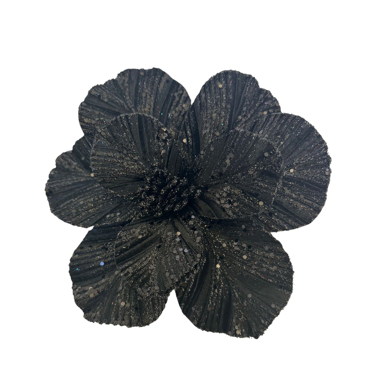Black Poinsettia