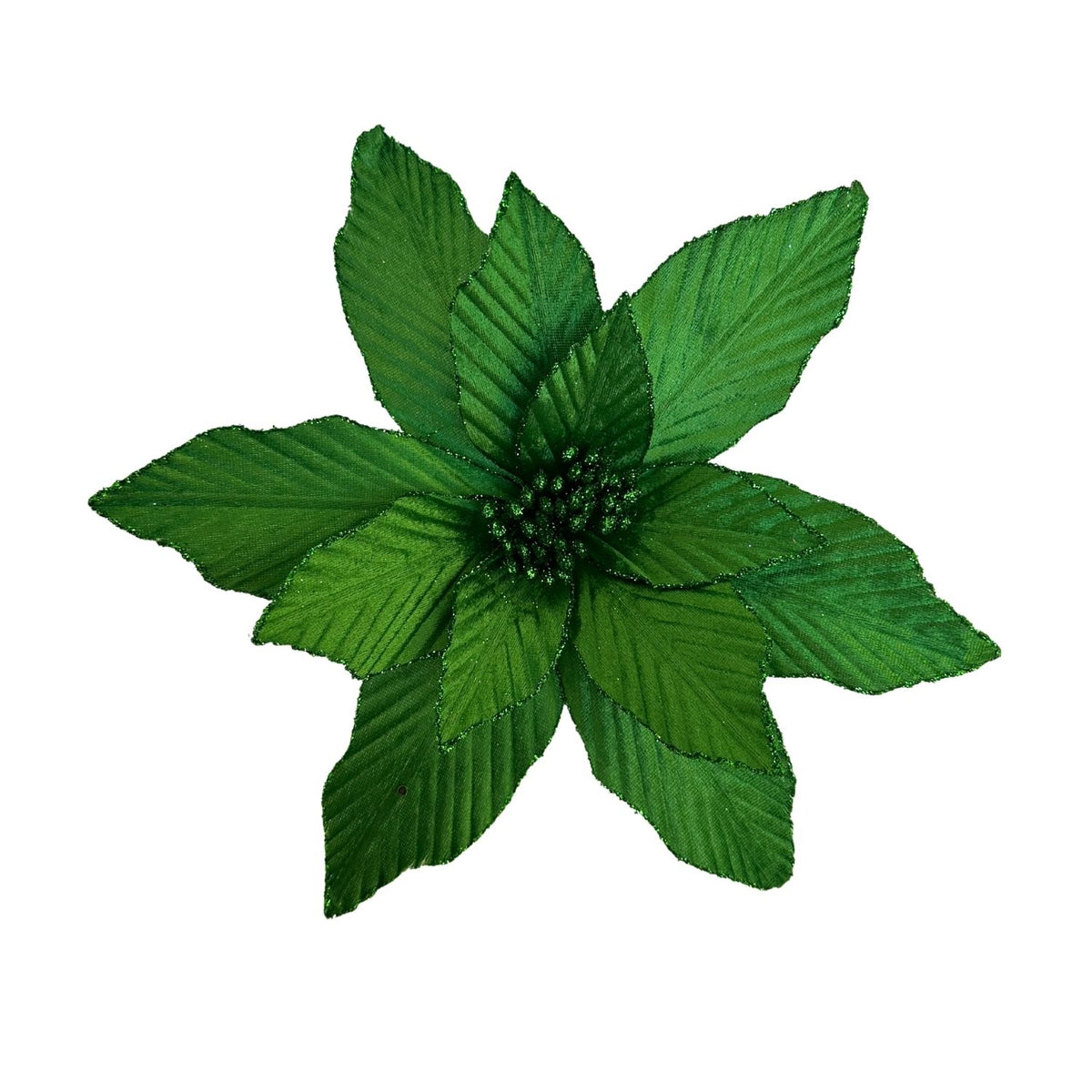 Green Poinsettia
