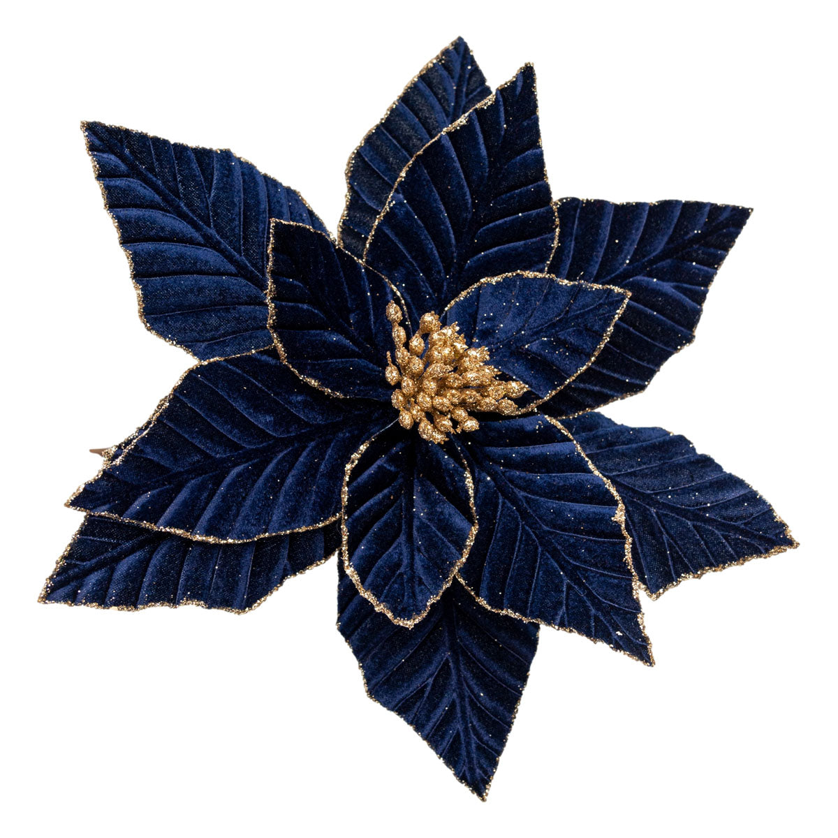 Midnight Blue Poinsettia
