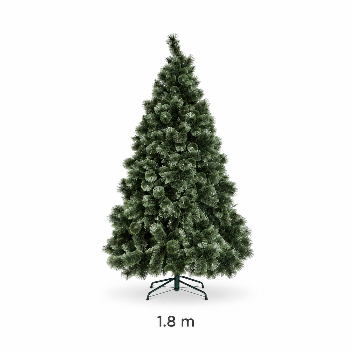 Australian Blue Blossom Pine 1.8m Tree