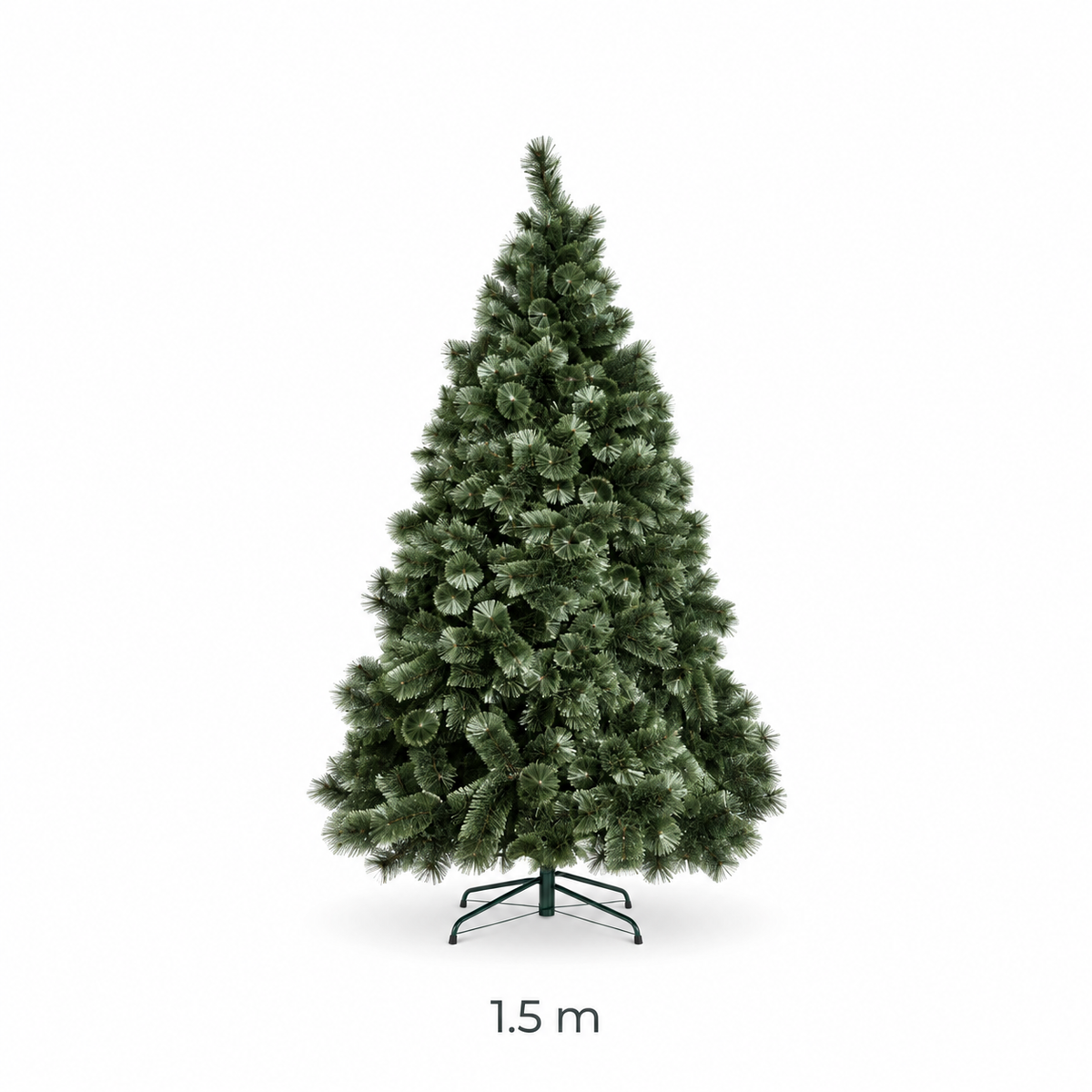 Australian Blue Blossom Pine 1.5m Tree