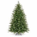 Evergreen Norway Spruce Pre-Lit 240cm