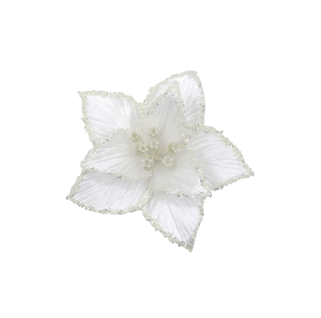 White Poinsettia with Glitter Edge 21cm