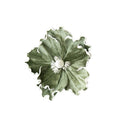 Sage Magnolia with White Centre Clip On 22cm