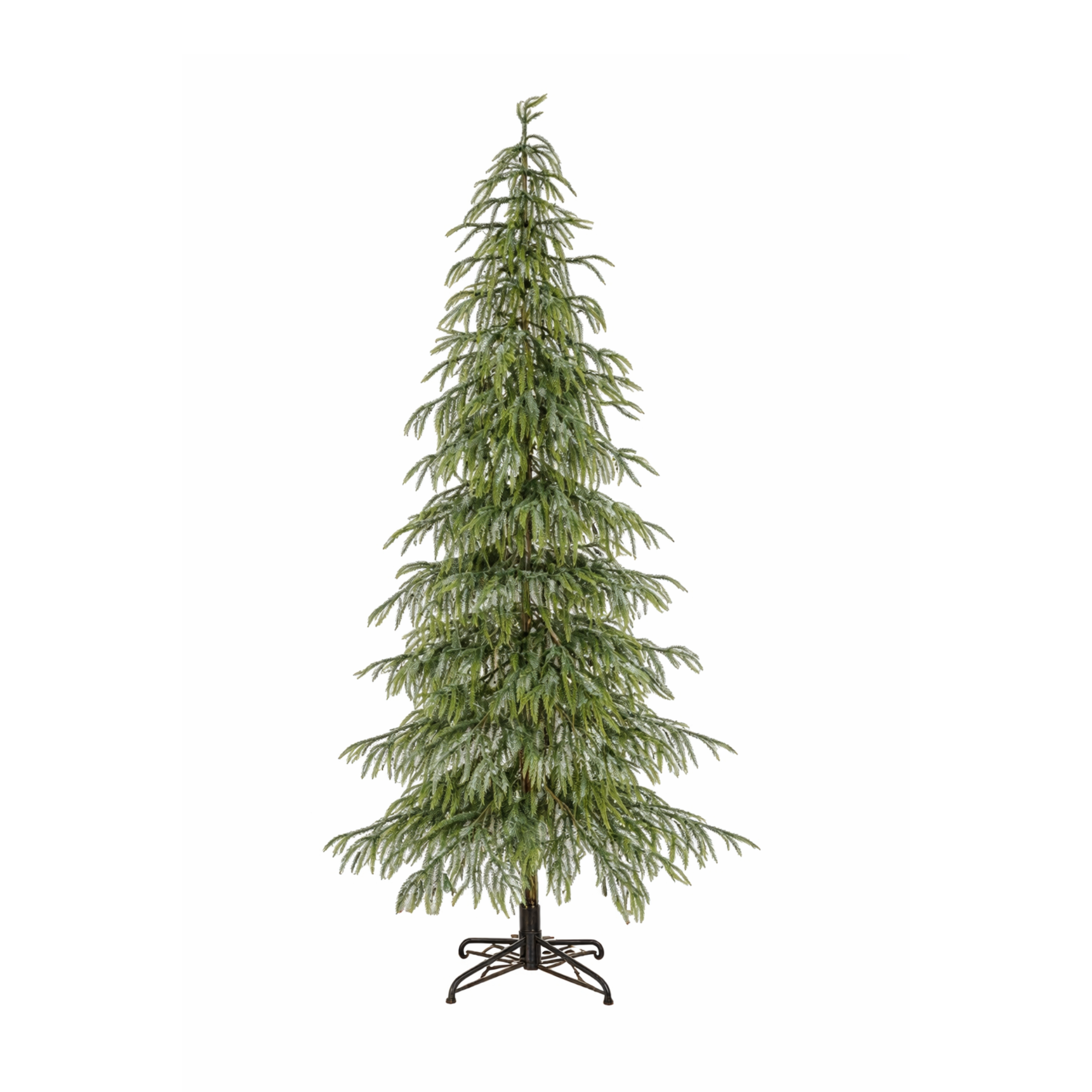 Norfolk Pine 225cm Tree with LED twinkle Lighting