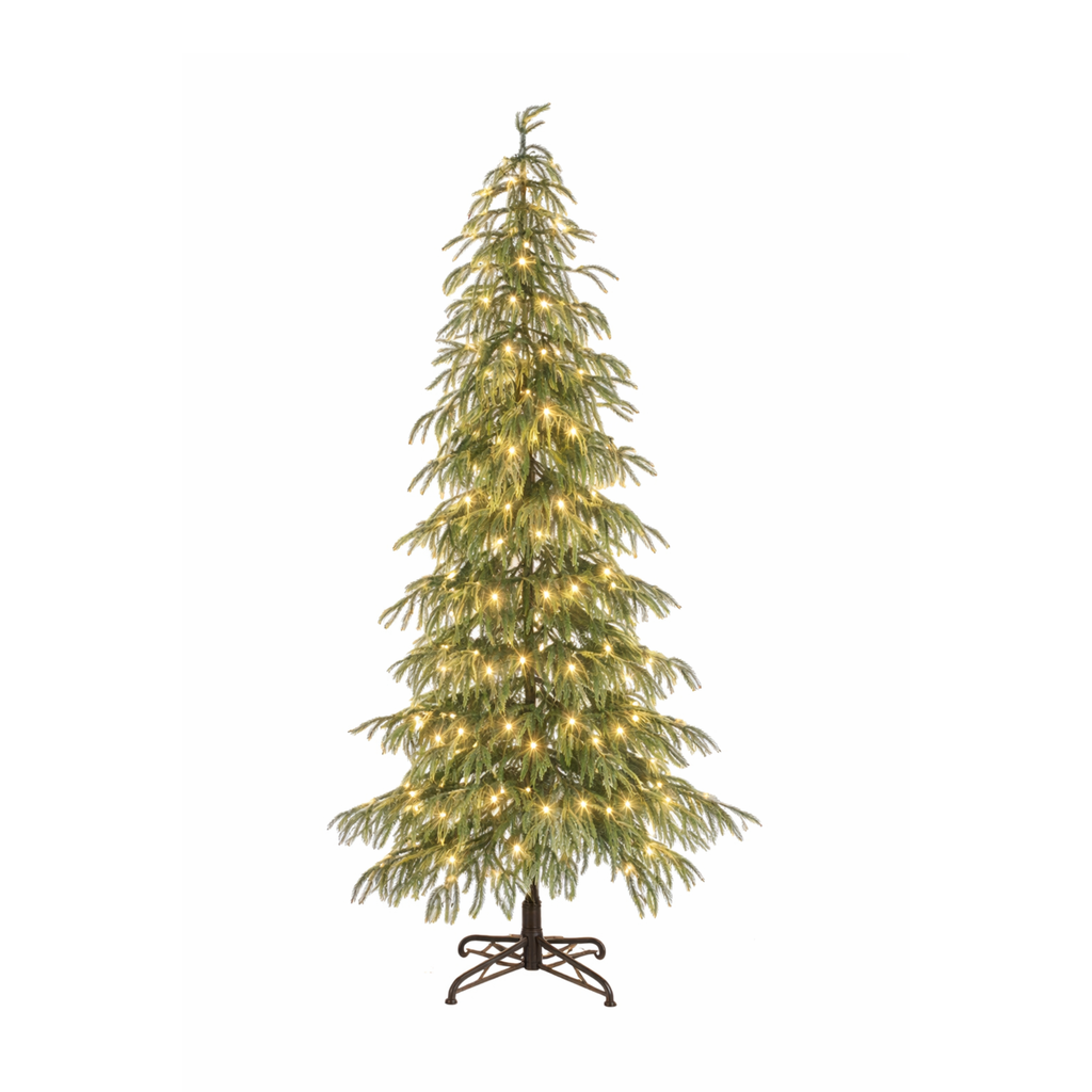 Norfolk Pine 225cm Tree with LED twinkle Lighting
