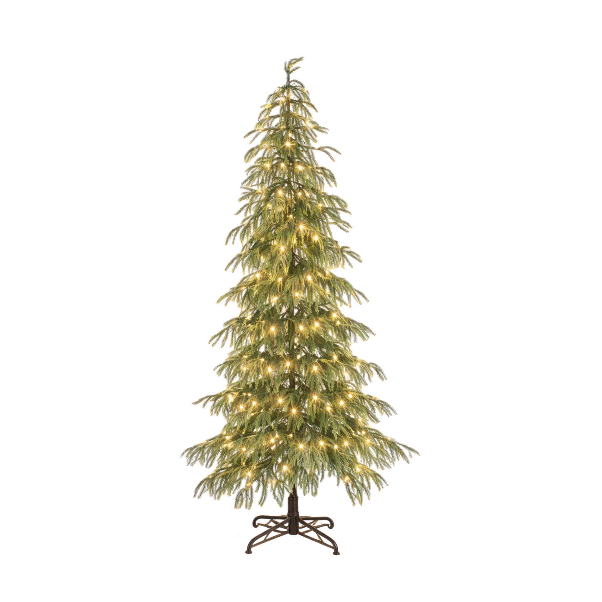 Norfolk Pine 225cm Tree with LED twinkle Lighting